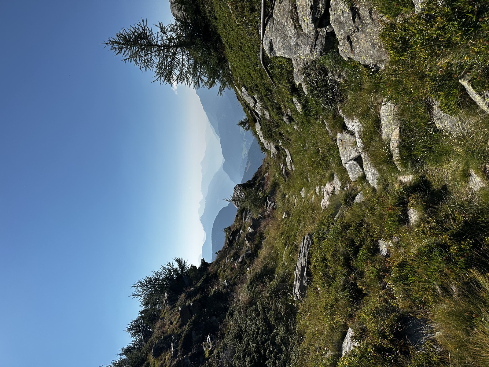Passo Forca
